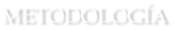 METODOLOGA