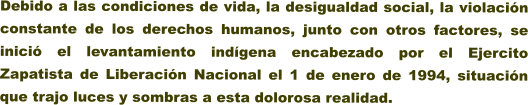 Debido a las condiciones de vida, la desigualdad social, la violacin constante de los derechos humanos, junto con otros factores, se inici el levantamiento indgena encabezado por el Ejercito Zapatista de Liberacin Nacional el 1 de enero de 1994, situacin que trajo luces y sombras a esta dolorosa realidad.